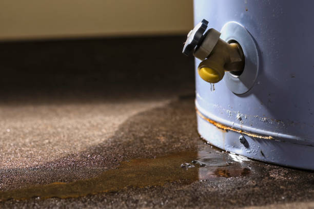 Best Water damage cleanup near me  in Forrest, IL