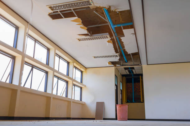 Best Flooded house restoration  in Forrest, IL