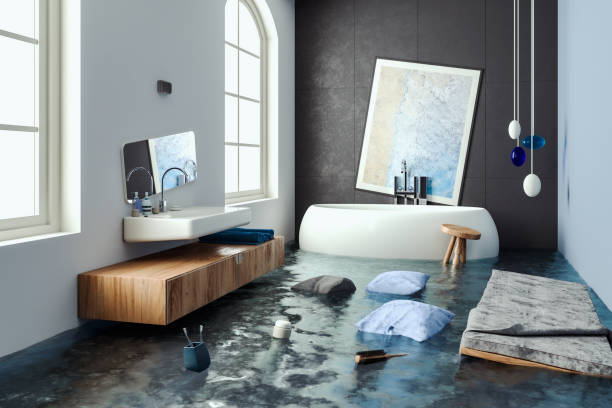 Best Basement water damage restoration  in Forrest, IL