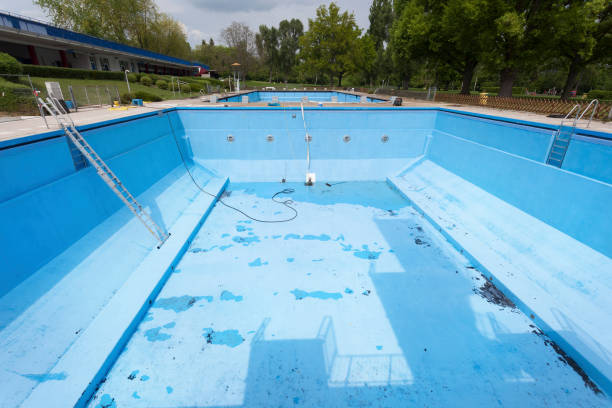 Best Fire Damage Restoration  in Forrest, IL