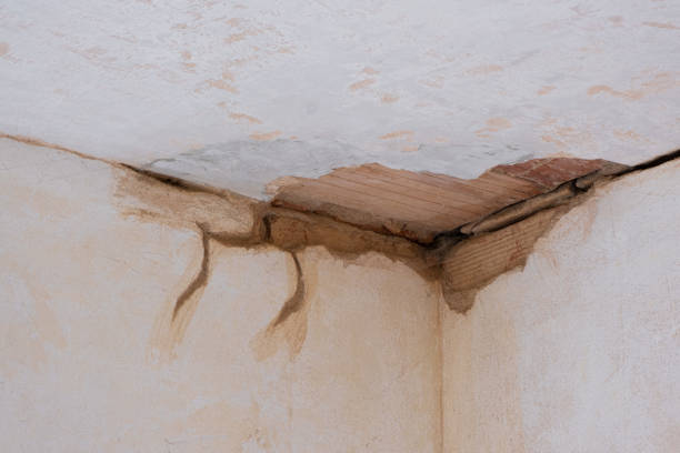  Forrest, IL Water damage restoration Pros