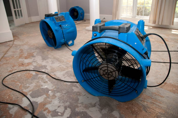 Best Residential water damage restoration  in Forrest, IL