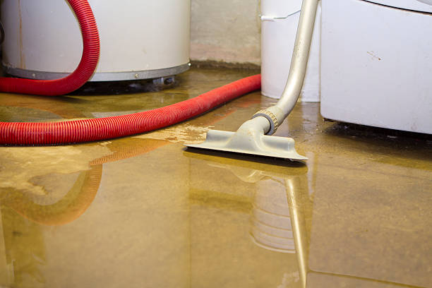 Best 24-hour water damage restoration  in Forrest, IL