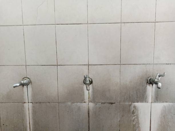 Best Residential water damage restoration  in Forrest, IL