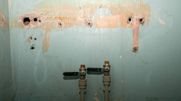 Best Water damage restoration near me  in Forrest, IL