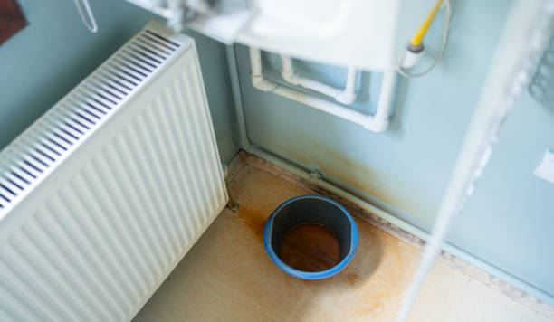 Best 24-hour water damage restoration  in Forrest, IL