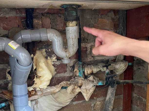 Best Local water damage restoration  in Forrest, IL