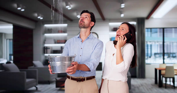 Best Water damage restoration near me  in Forrest, IL