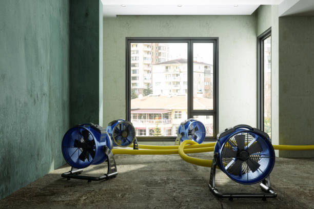 Best Flood restoration services  in Forrest, IL